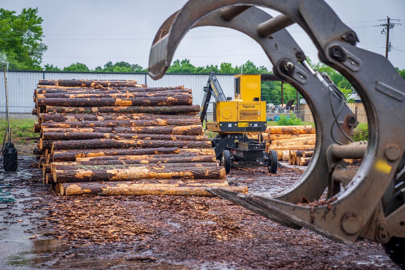 Curved jaws of a log grapple in the foreground, open, in front of stacks of debarked trunks and a yellow loader.