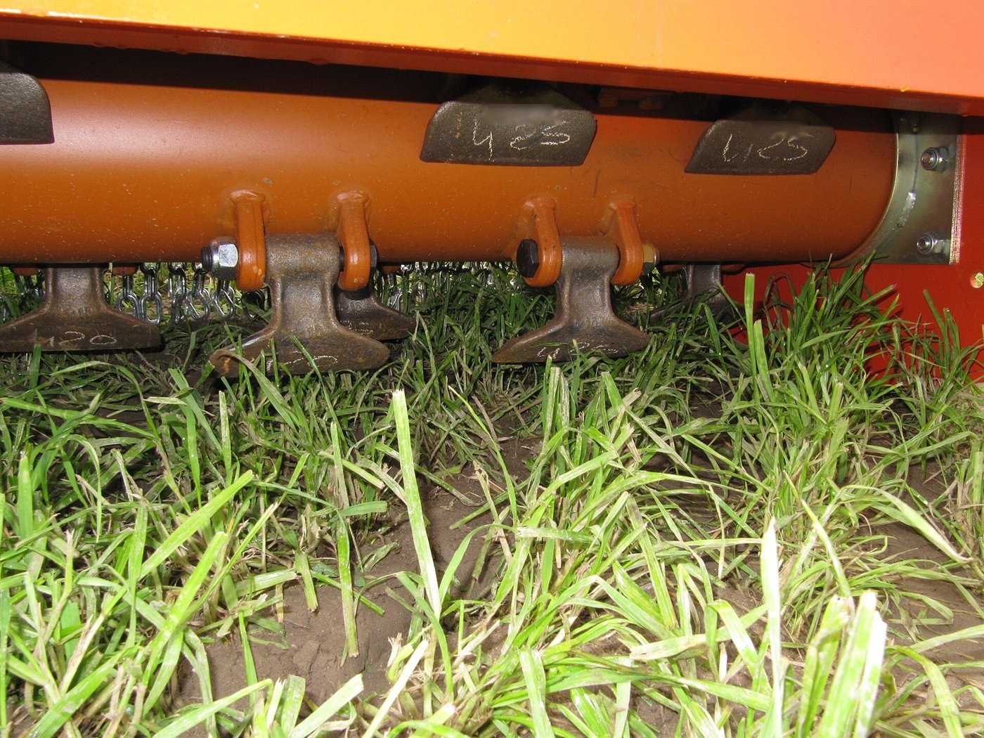 Vue rasante sous un broyeur orange : rotor garni de marteaux métalliques articulés, juste au-dessus de l'herbe.